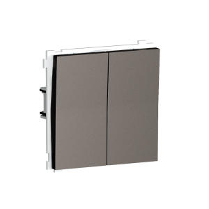 Выключатель двухклавишный встраиваемый Donel R98 Сталь матовая DA10500-DA29537