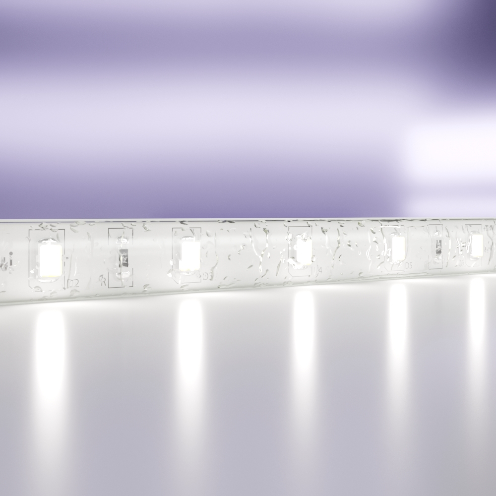 Светодиодная лента Standard Maytoni Led Strip Standard 5 м 6000 K Белый 20018